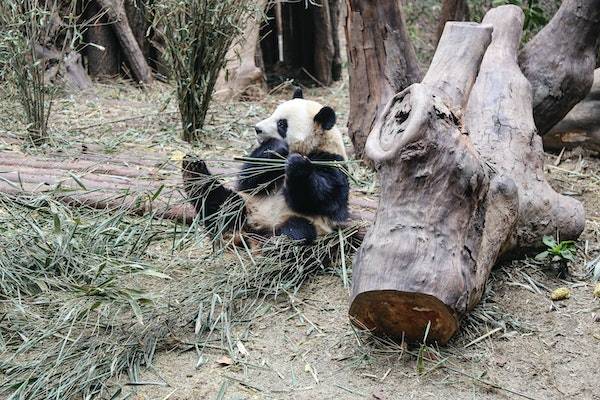 京东显示可调货是什么意思？调货要几天？