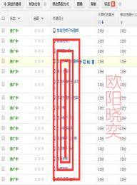 直通车技巧大拼盘