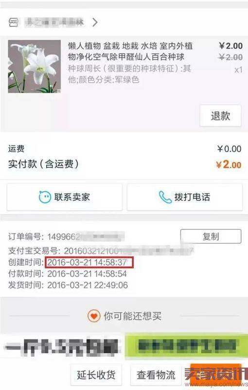 她用一盆2元的绿植,成就阿里3万亿奇迹