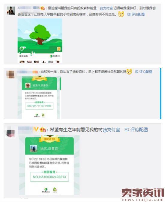 蚂蚁森林种下111万棵树,有几棵是你的?