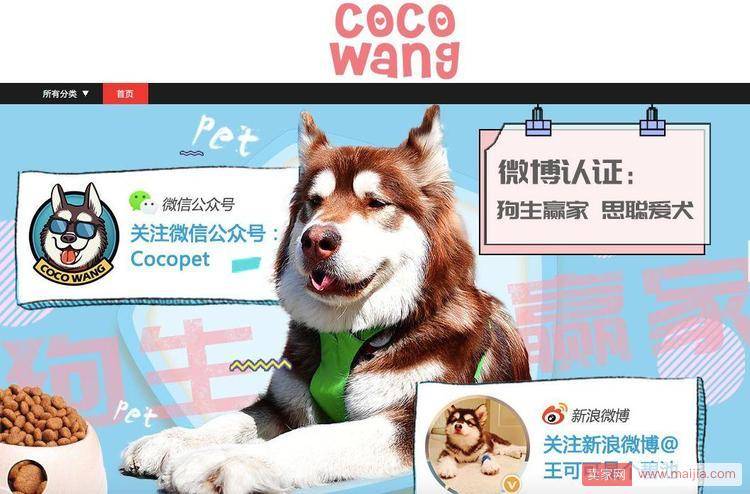 宠物界的第一网红狗：王思聪爱犬王可可淘宝开店年入3000万
