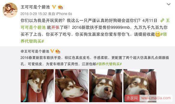 宠物界的第一网红狗：王思聪爱犬王可可淘宝开店年入3000万