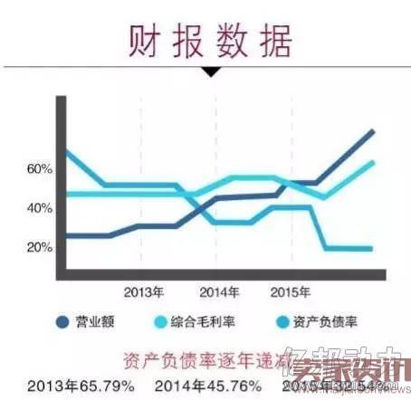 汇美集团财报数据