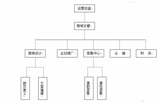 史上最全最细天猫店运营计划书