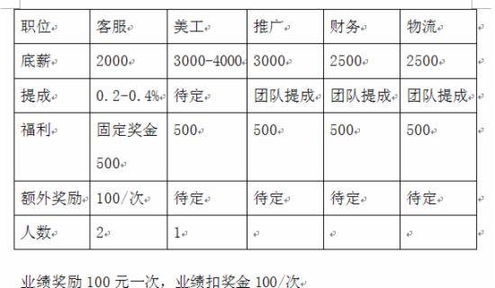 史上最全最细天猫店运营计划书