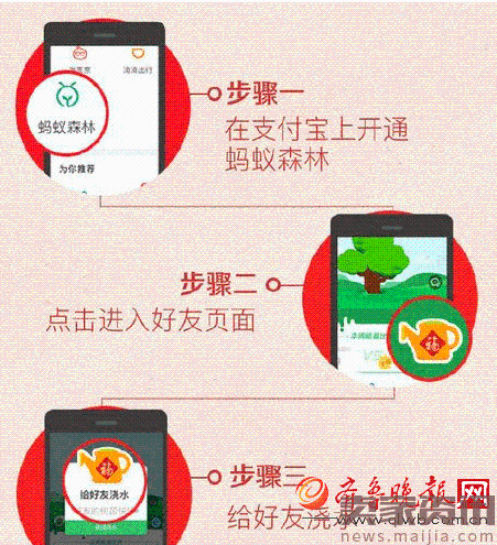 支付宝集福第二波：教你直接领到万能福