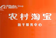 农村淘宝兴农频道试运营，设“淘乡甜”品牌