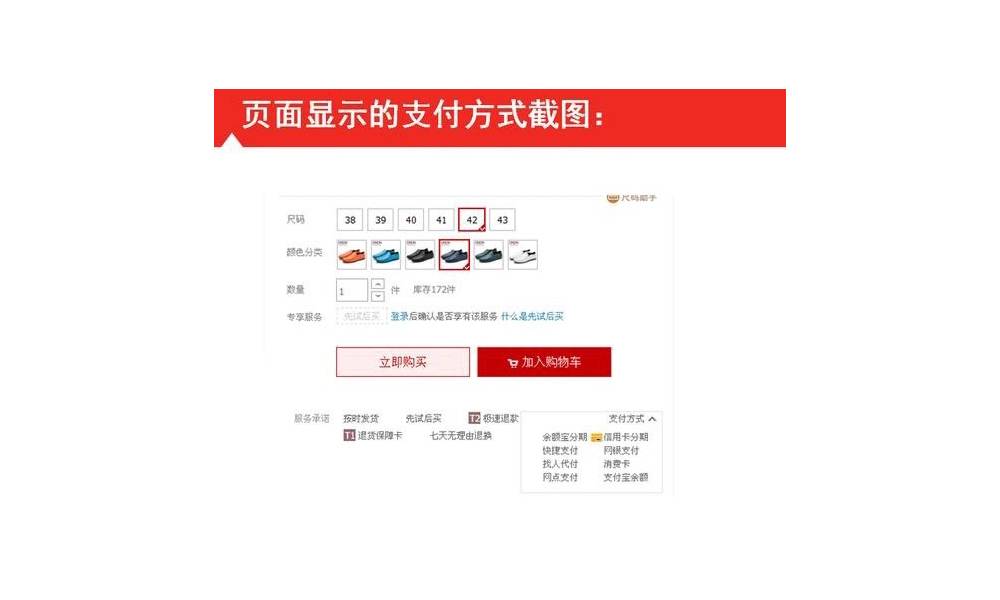 页面显示的支付方式截图