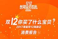 双12成绩单来了！2017淘宝双12淘游记消费报告