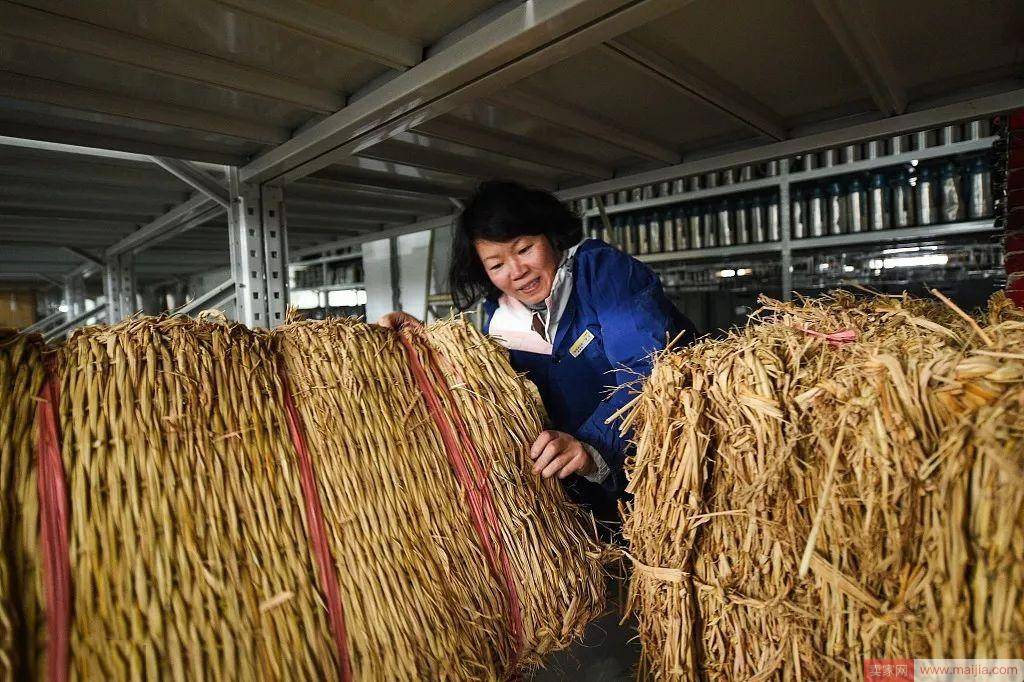 一场大雪后，这个不起眼的东西在淘宝彻底“卖爆”了