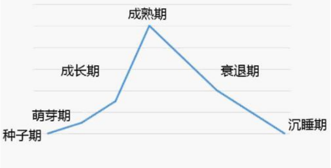 爆款打造的意义：无爆款无流量