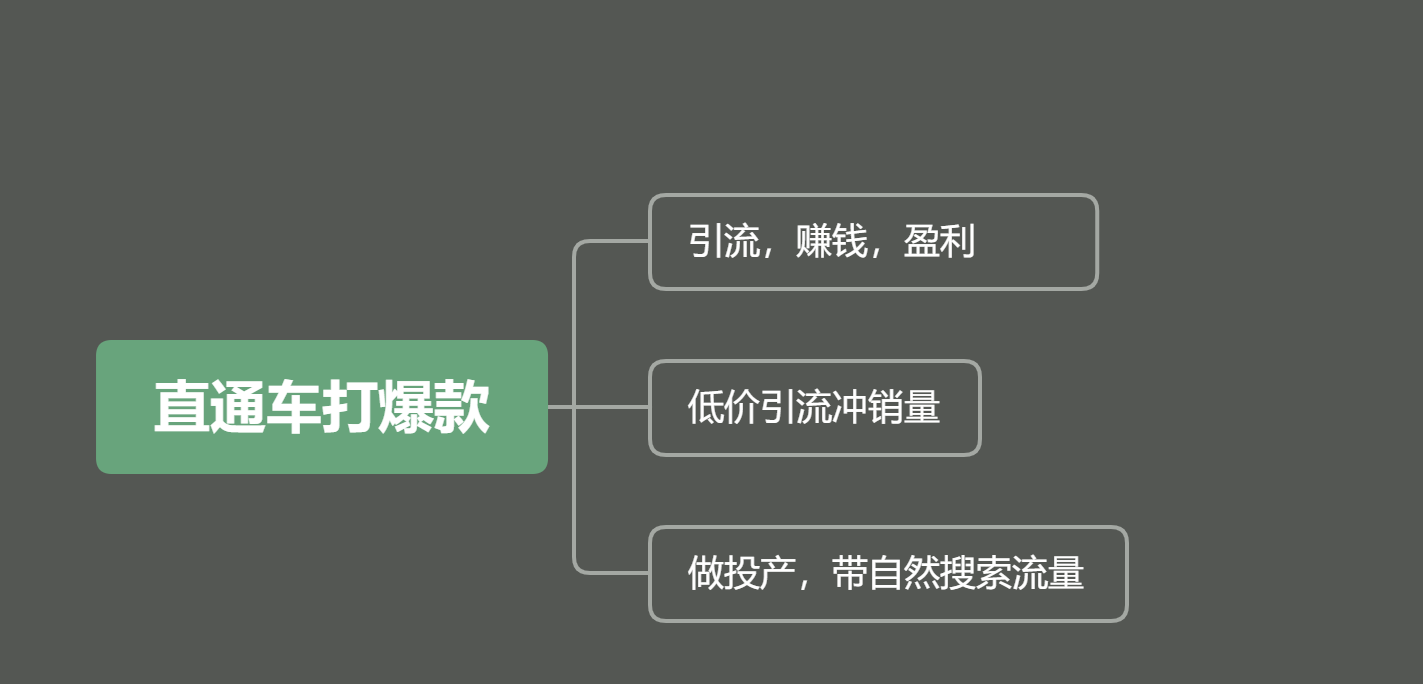 福利：直通车底层逻辑和数据实操，快速打爆款，抢占2020年红利！