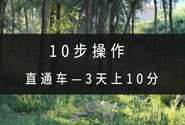 10步操作——直通车3天上10分